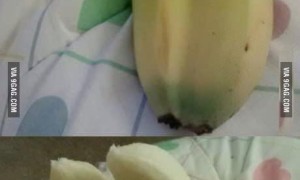 쌍쌍바나나~