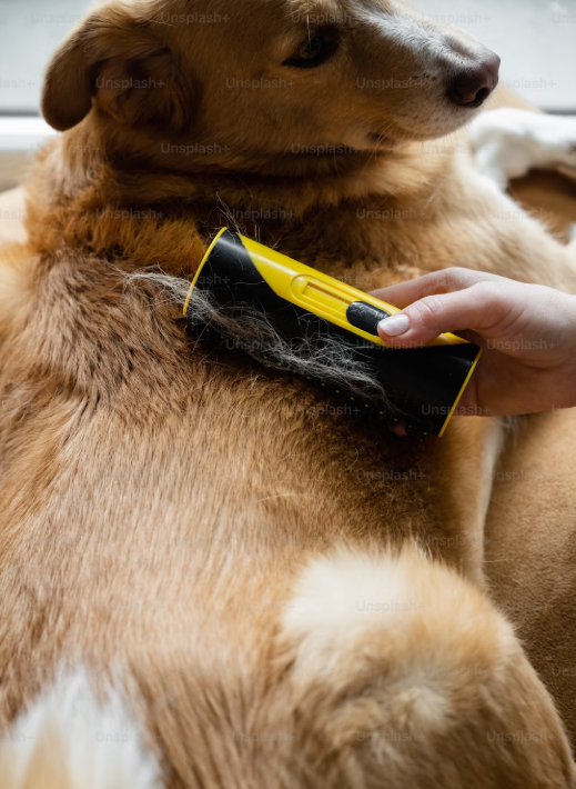 397377e65c31d162facf85d8fd58a379_1760820085_8297.png 397377e65c31d162facf85d8fd58a379_1760820085_8297.png