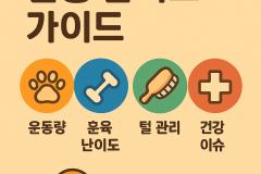 애완견 난이도, 견종별 키우기 어려운 품종부터 가장쉬운 품종까지 - 랭킹 TOP 30 썸네일