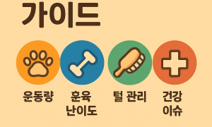 애완견 난이도, 견종별 키우기 어려운 품종부터 가장쉬운 품종까지 - 랭킹 TOP 30