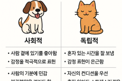 개와 고양이는 무엇이 다른가?-차이점,취향,성격,행동특징들 정리! 썸네일