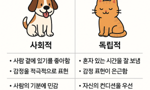 개와 고양이는 무엇이 다른가?-차이점,취향,성격,행동특징들 정리!