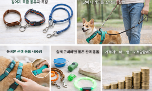 초보 보호자를 위한 강아지 산책 용품 종류와 사용법 총정리 (목줄·하네스·리드줄)