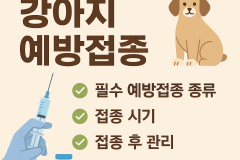 강아지 예방접종 이것만은 꼭! 필수 예방접종 종류와 추가접종까지 쉽게 이해하기! 썸네일