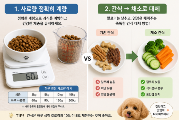 사료량정확히.png