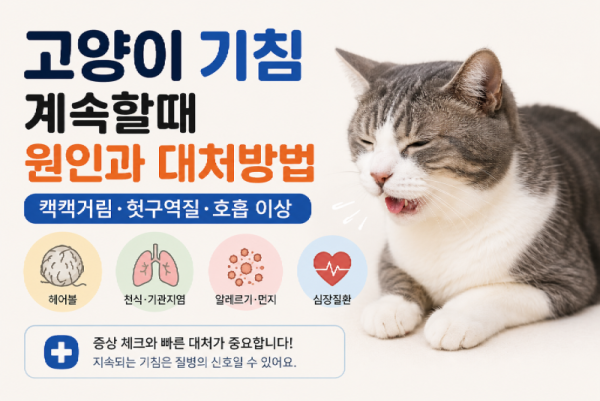 고양이기침.png