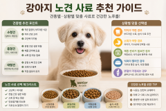 강아지 노견 사료 추천 어떻게 해야 할까? 견종별·상황별 맞춤 선택법과 식단 관리 꿀팁 총정리~! 썸네일