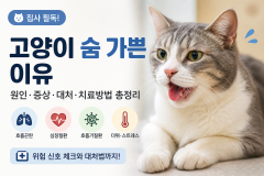 고양이 숨 가쁜 이유 총정리｜헥헥거림·호흡 빠름 원인과 대처방법! 썸네일