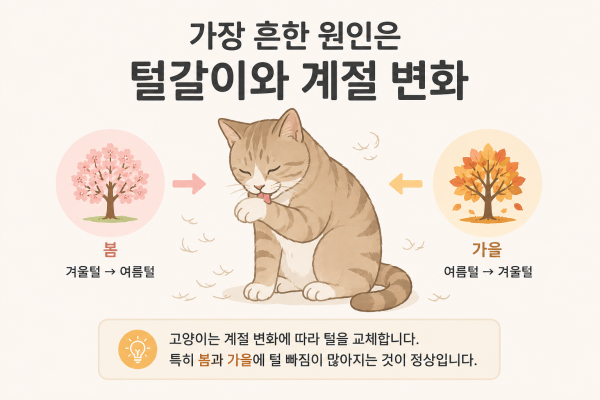 ab562f05e10de08ea0cc30c1ab2f416b_1778824893_3829.png