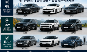 신차 장기렌트카, 선납금 광고보다 꼼꼼한 견적비교가 중요한 이유｜카슐랭