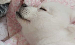 너무 사랑스러워~~!!>♡<